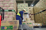 img_future_03__20241011_180_120.jpg